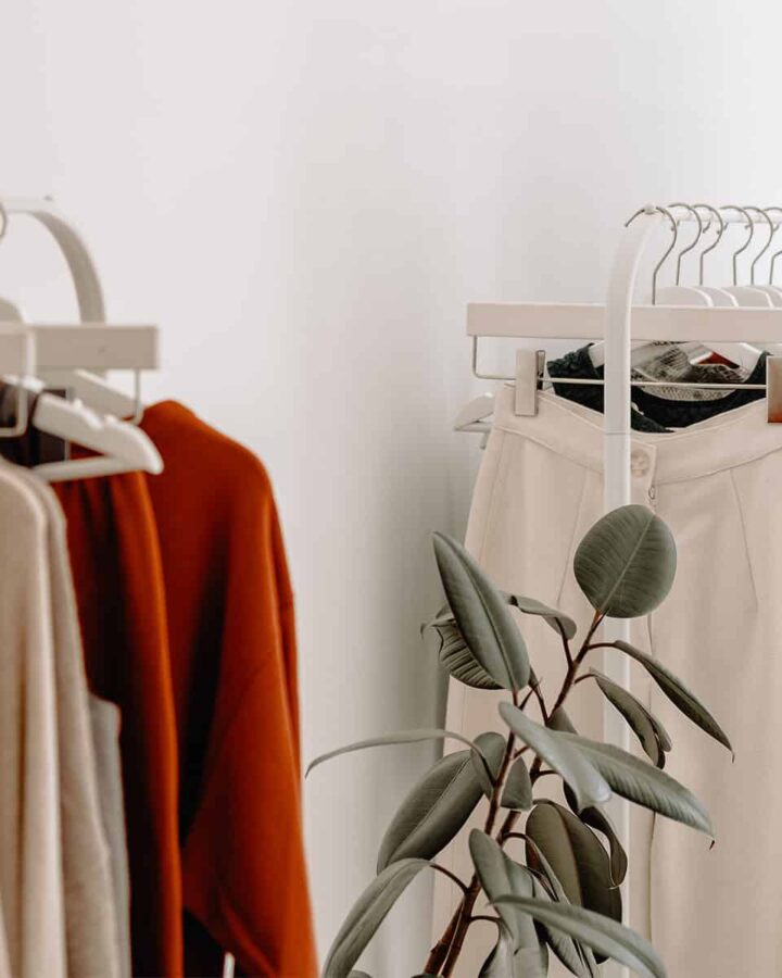 two white clothing racks with hanging clothes with a plant in between.