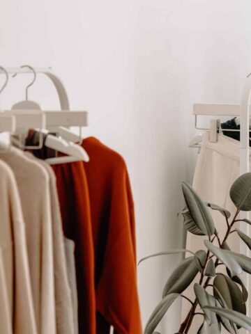 two white clothing racks with hanging clothes with a plant in between.