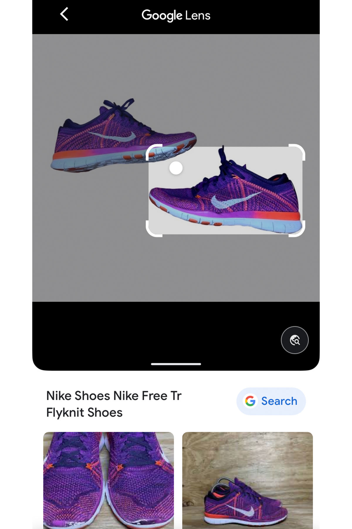 a pair of nike shoes on google reverse image search.