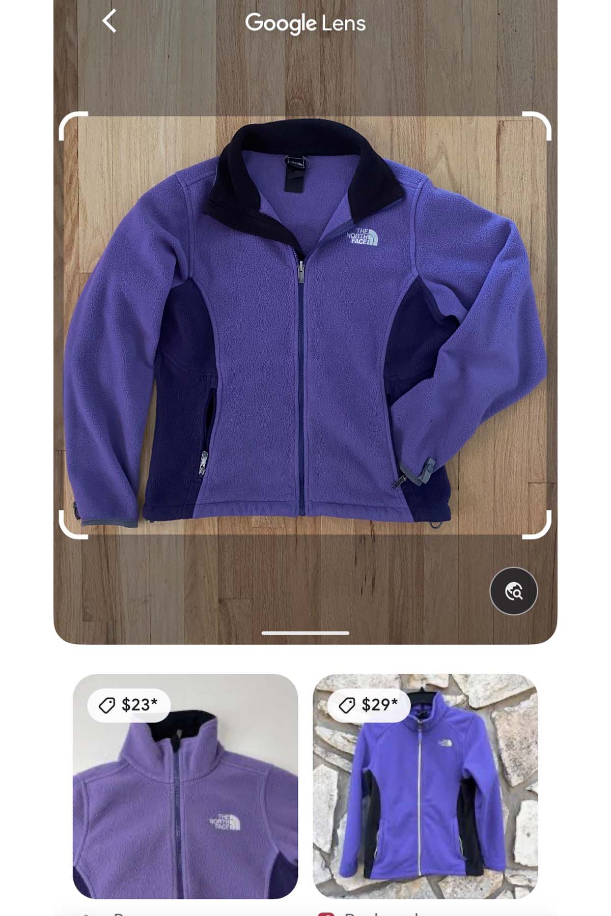 screenshot of google image search results for a purple north face jacket.