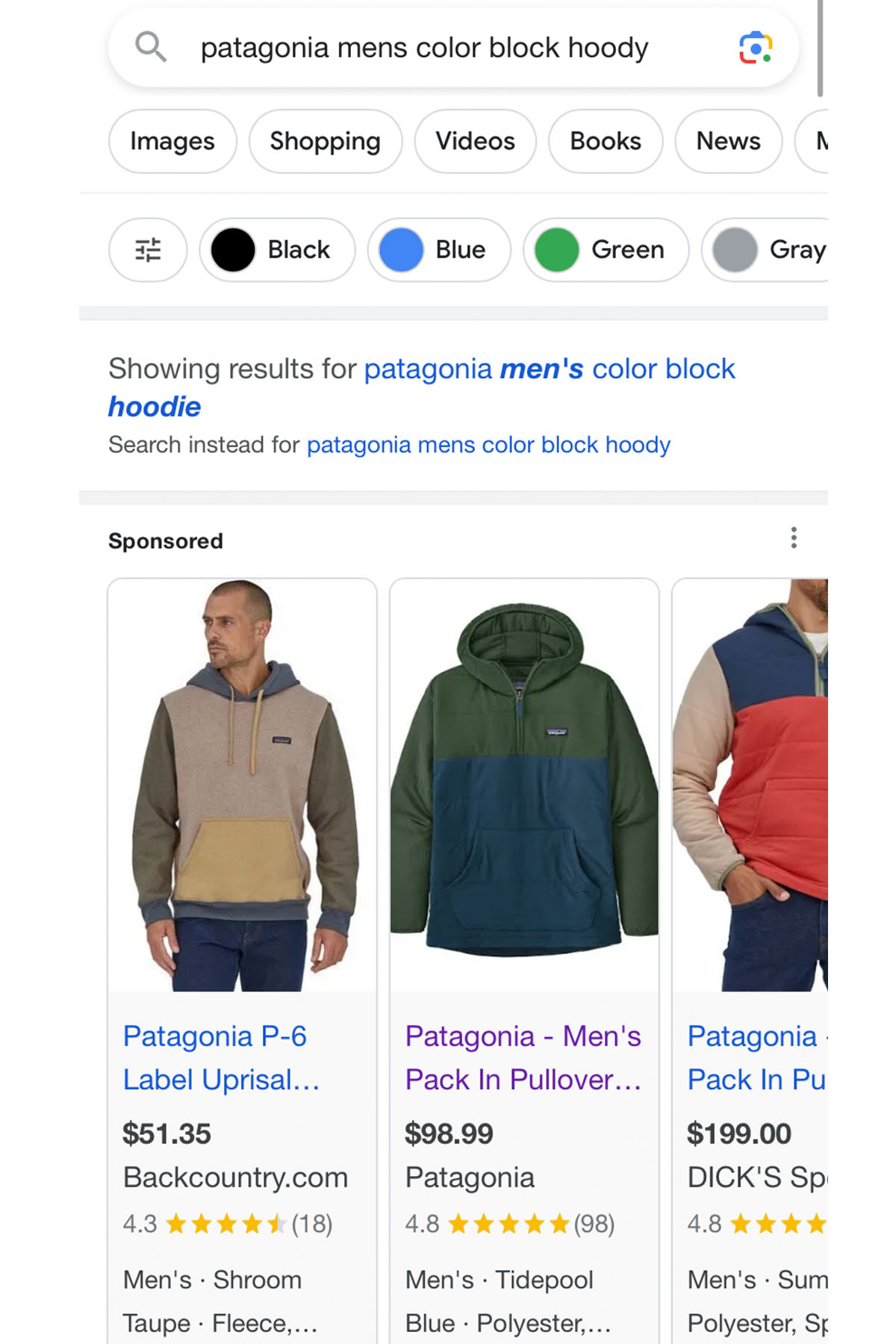 screenshot of a google search for a patagonia jacket.