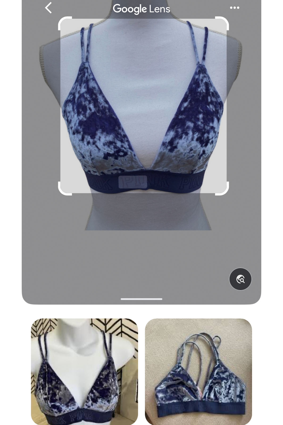 screenshot of a google image search for a blue velvet victoria's secret bra.